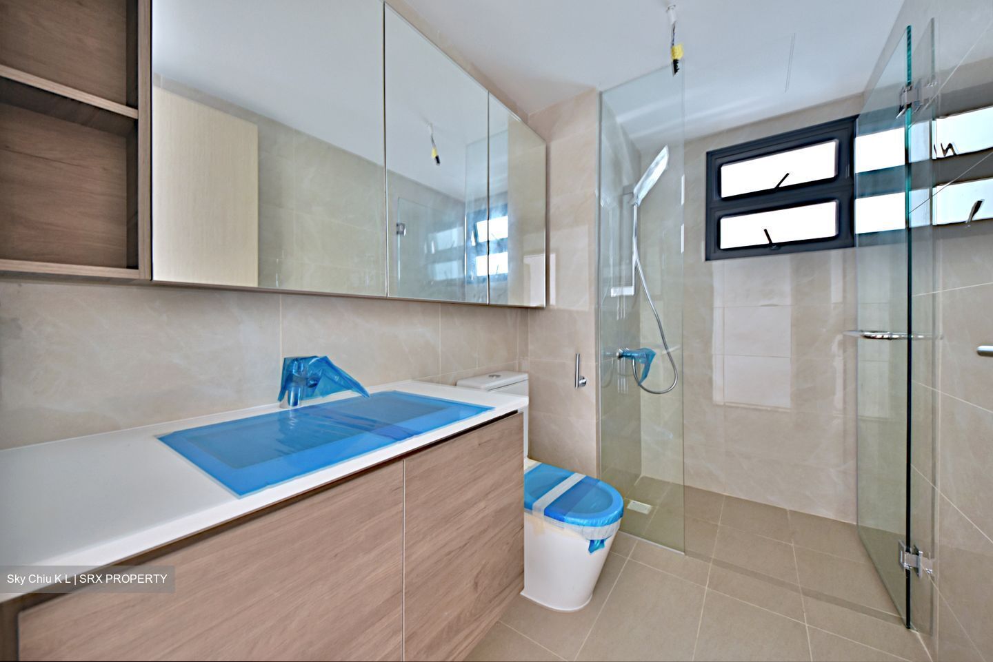 Treasure at Tampines (D18), Condominium #418822161